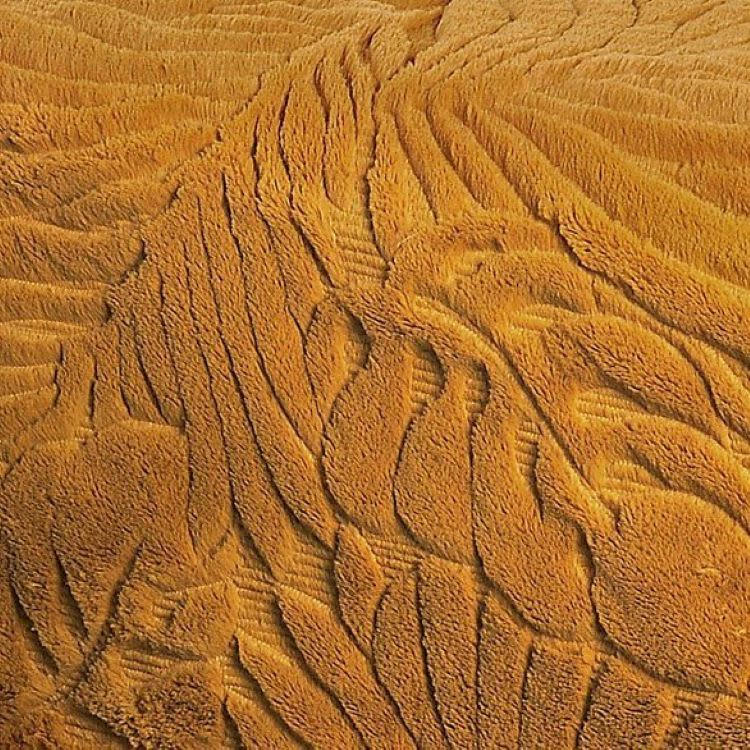 GRAZIA - Dessus de lit feuillages polyester moutarde 240x260cm