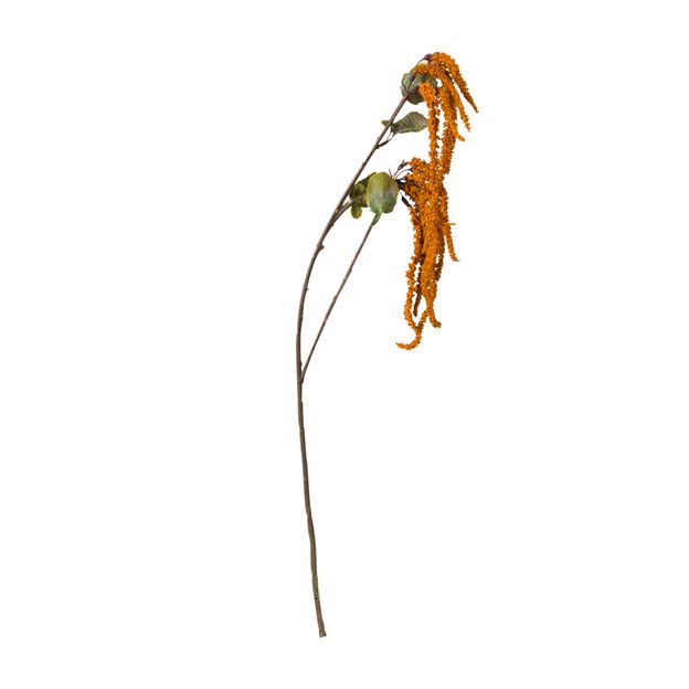 FLOR FALL