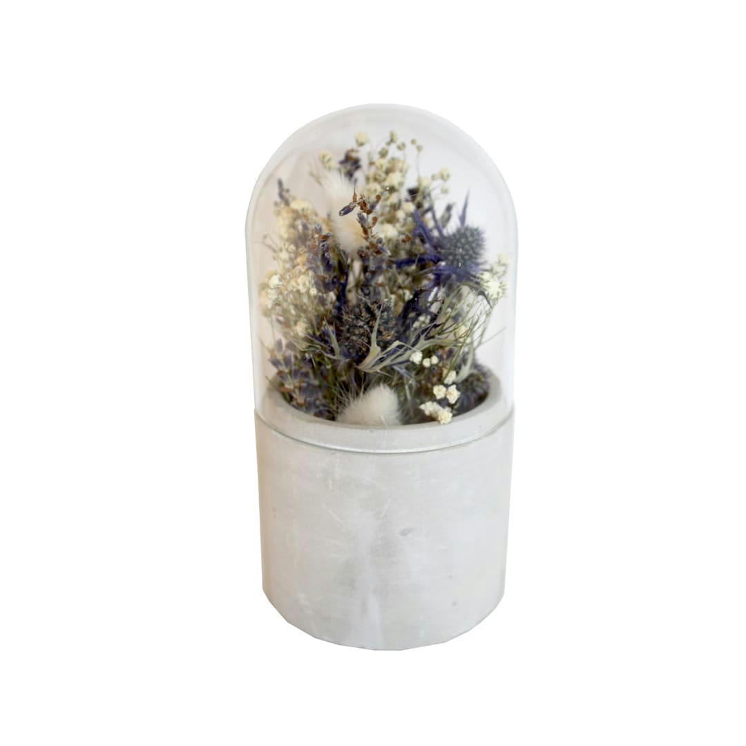 - Cloche de fleurs séchées bleu H.16cm