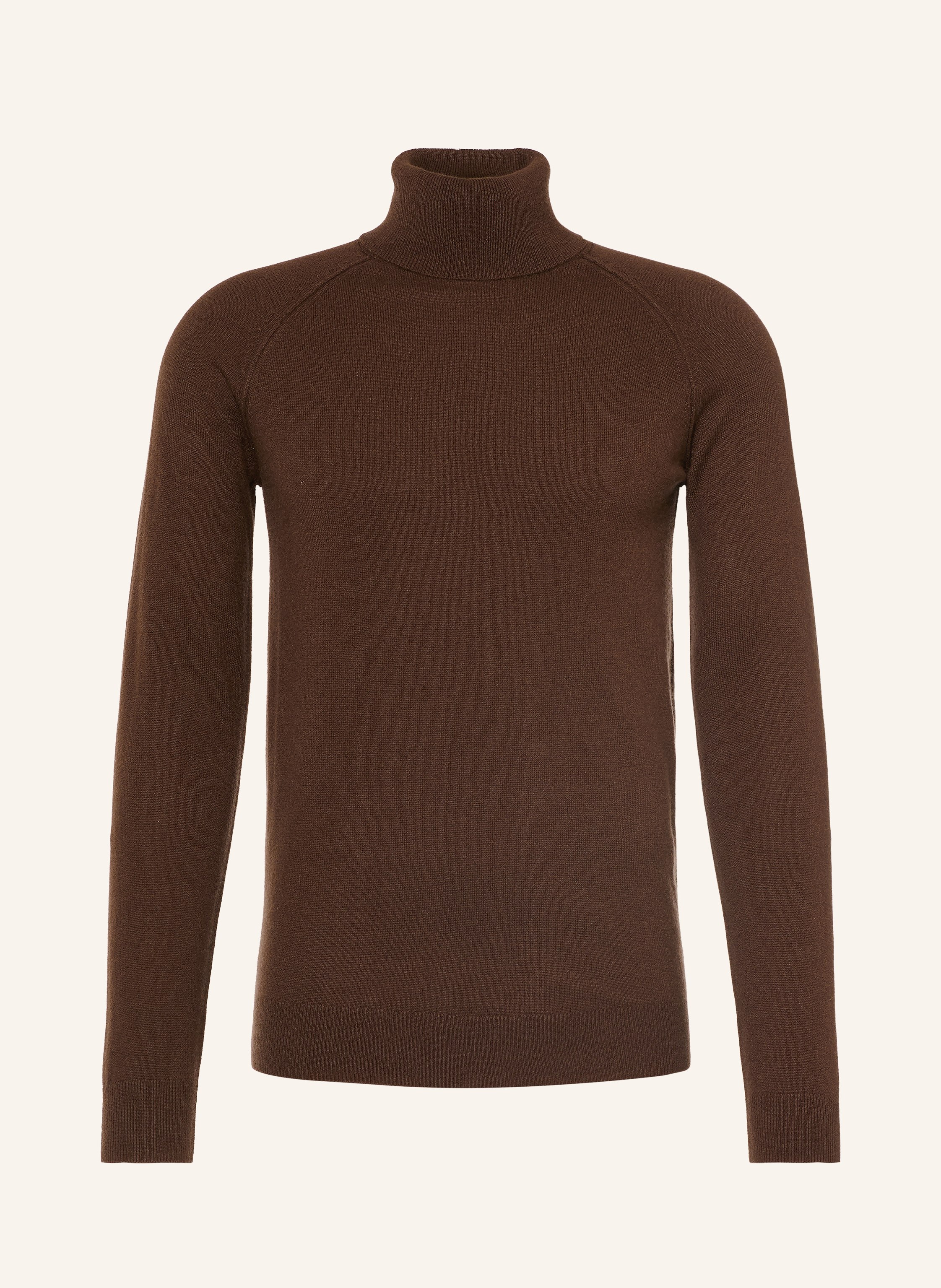 PAUL Rollkragenpullover aus Cashmere