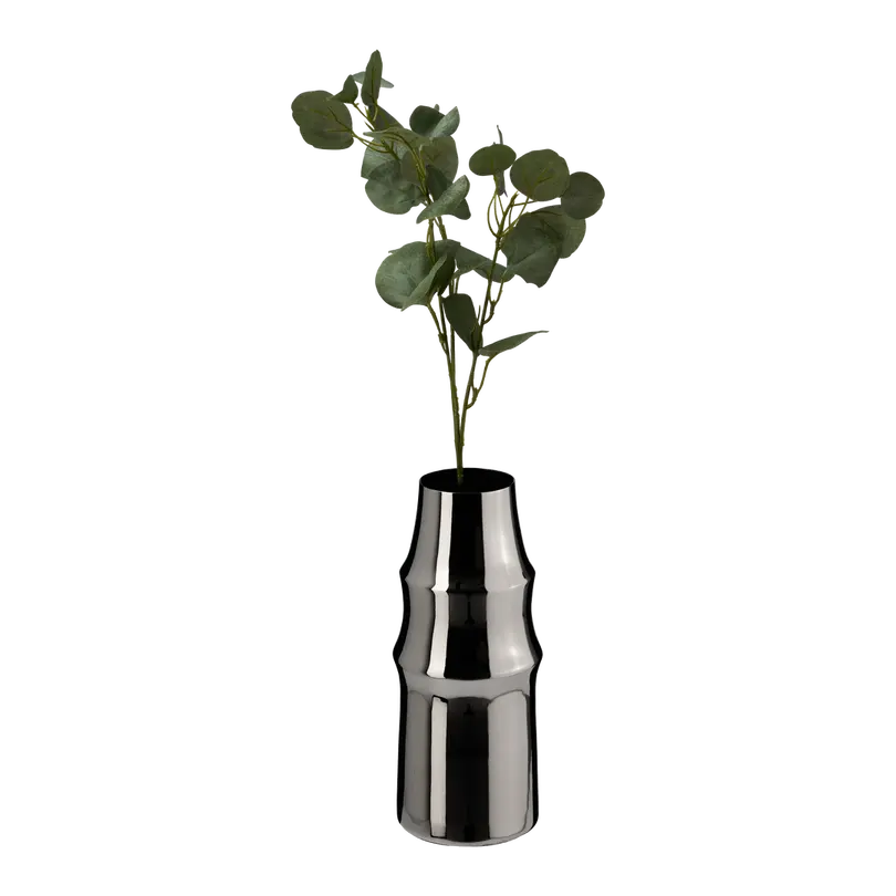 Vase Lucida