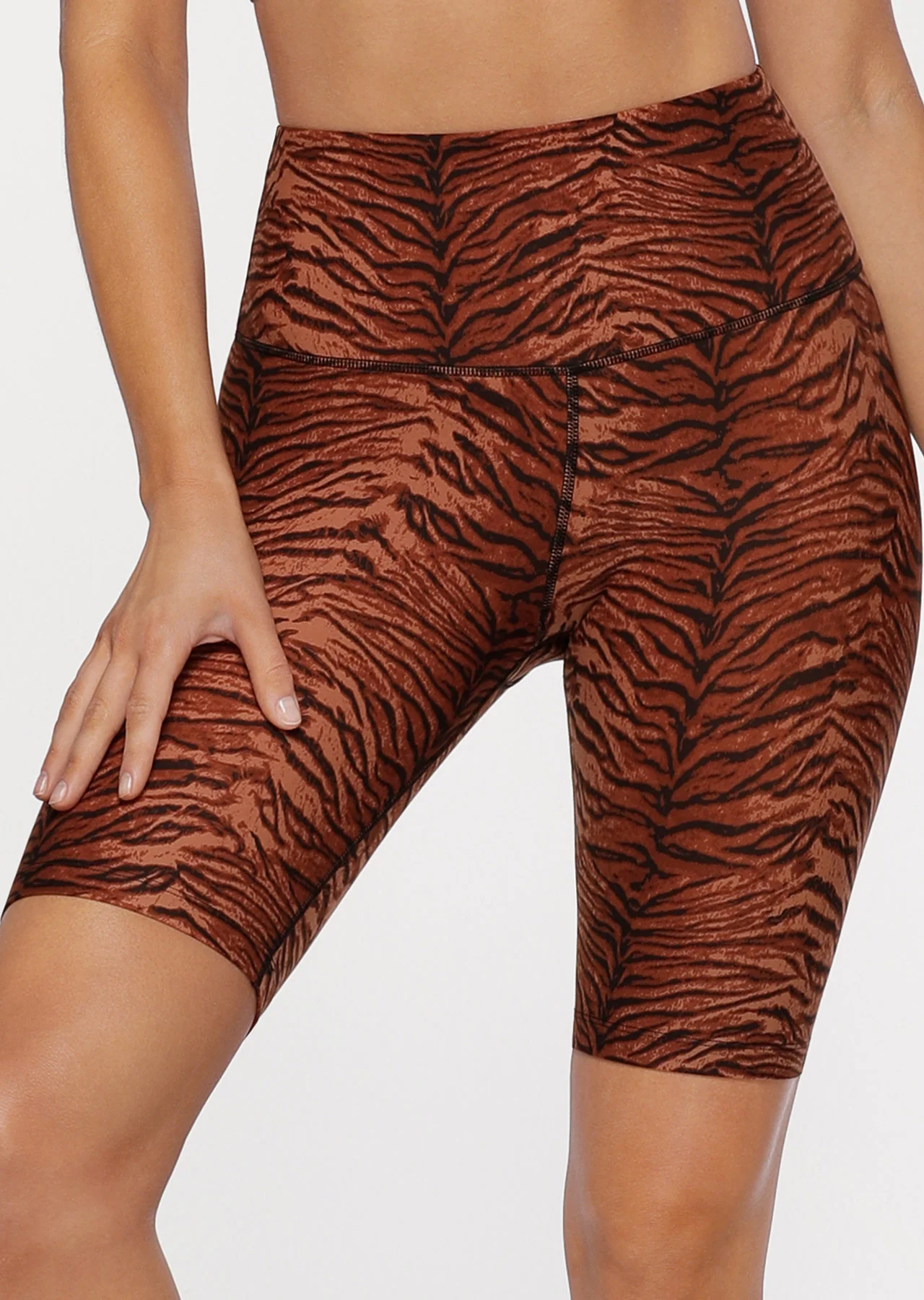Jungle Cat Midi Bike Shorts