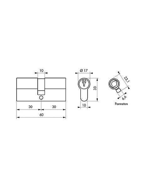 Cylindre de serrure double entrée SA, 30x30mm, anti-arrachement, nickel, vis 45mm 3 clés - THIRARD