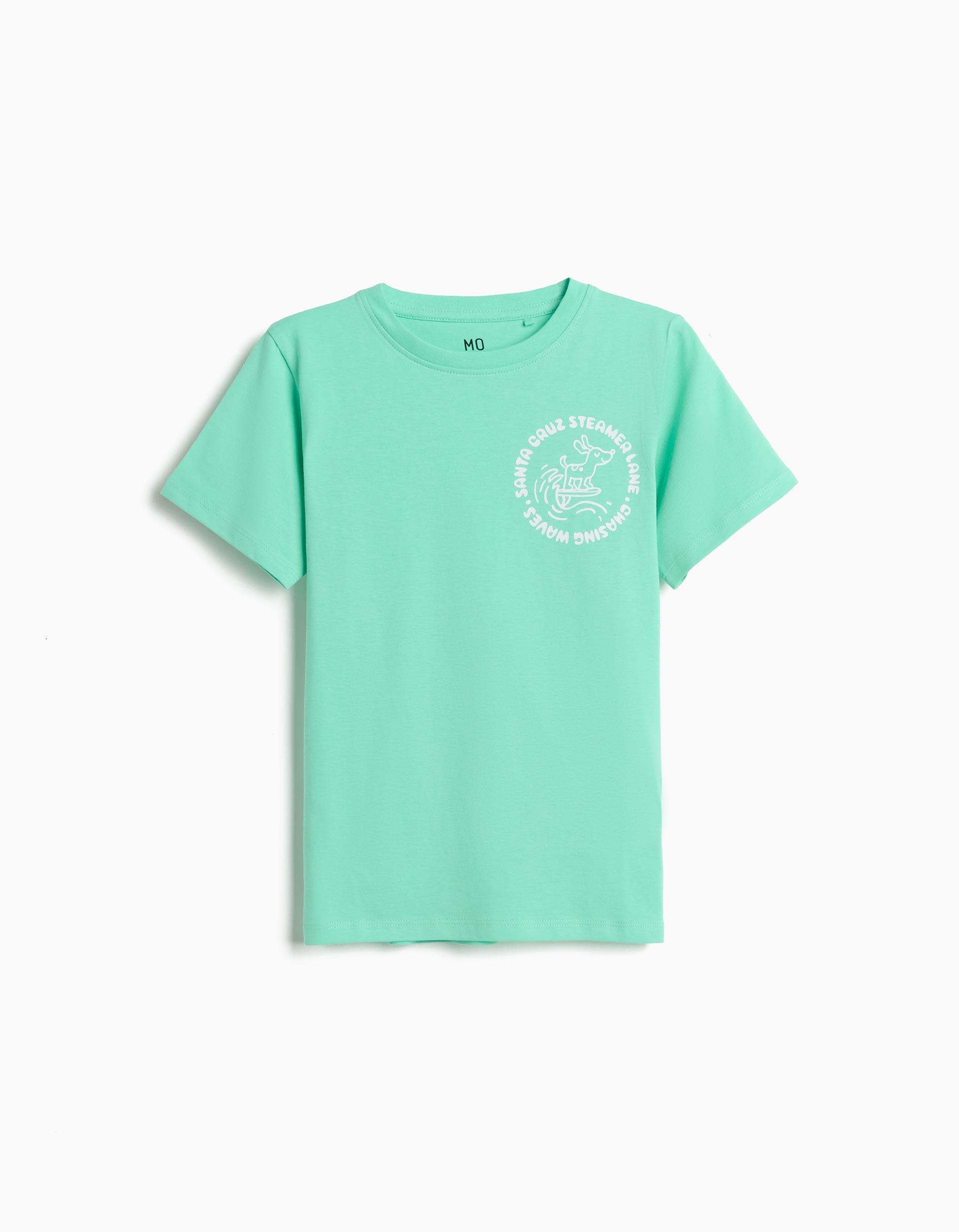T-shirt Estampada, Menino, Verde Claro