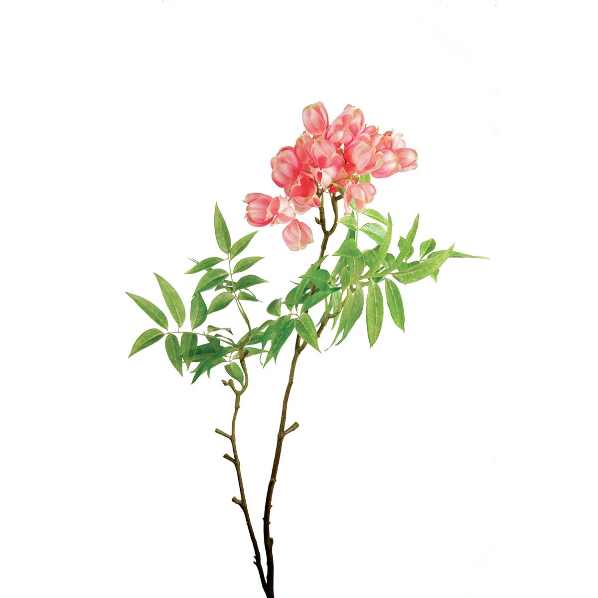 - Tige de drapeau belge