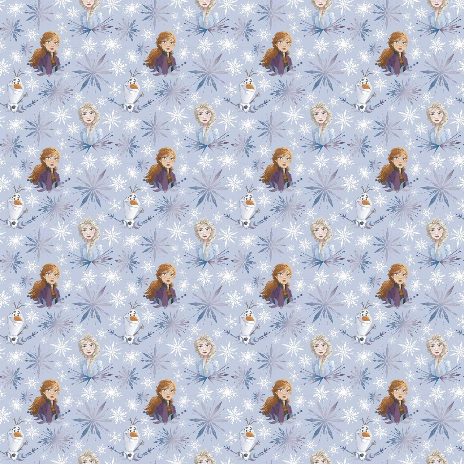 Disney Frozen 2 Gift Wrap, 30-in x 5-ft