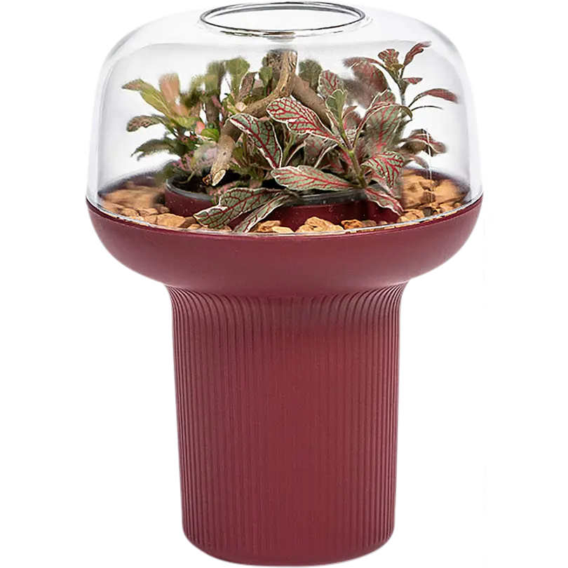 Blumentopf Humidarium