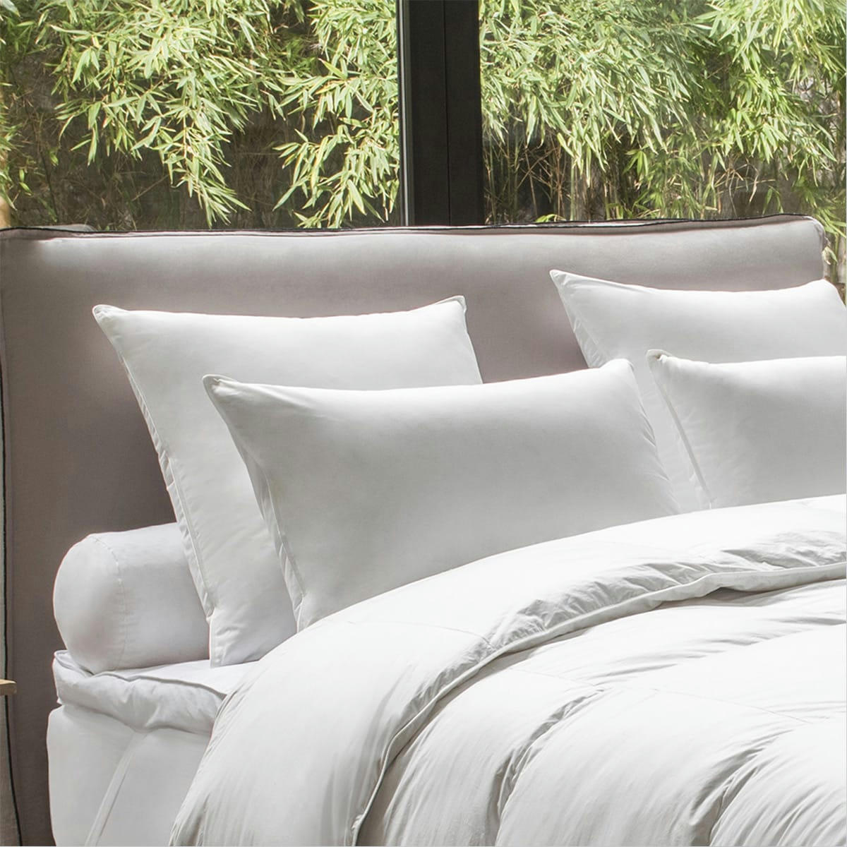 - Oreiller ENVELOPPE COTON BIOLOGIQUE - 50% duvet canard et oie - Medium