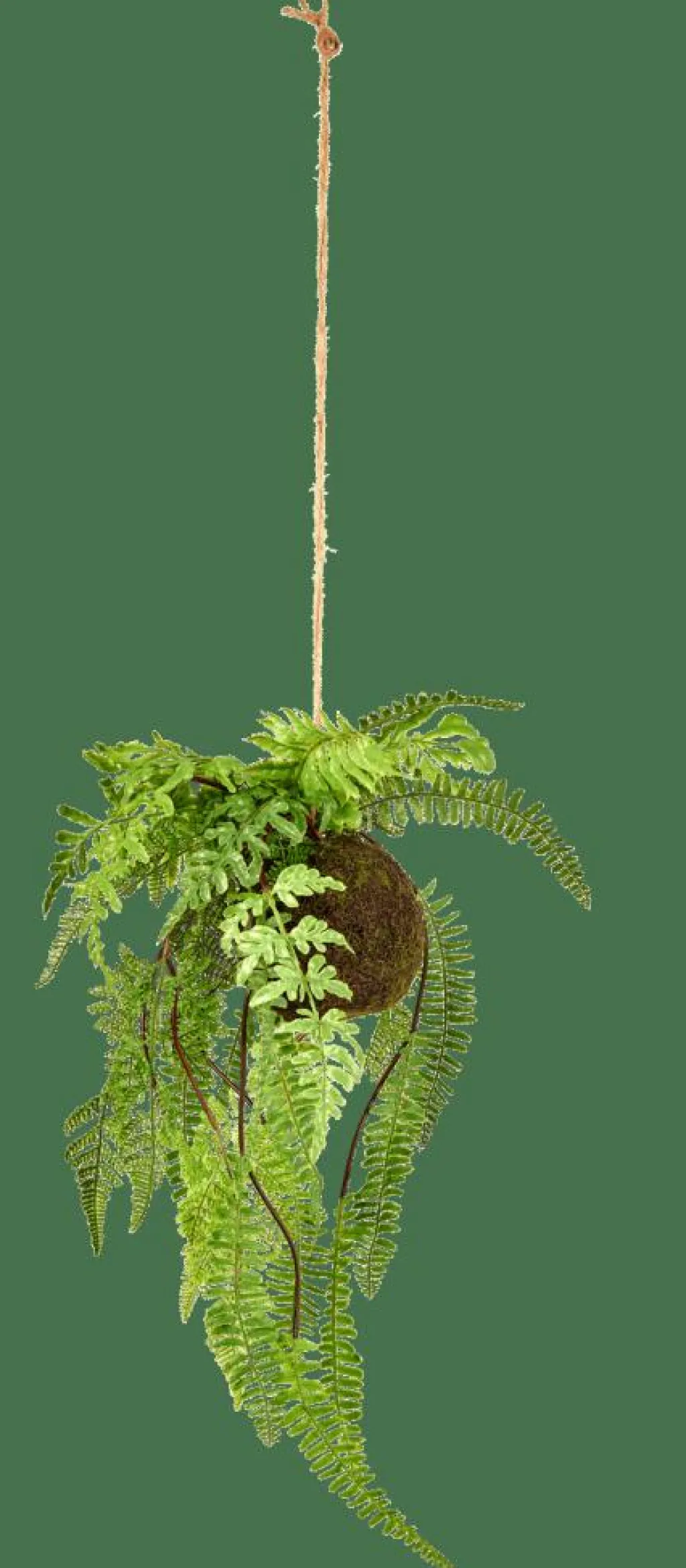 Plantes Artificielles^CASA GREENERY Pot à Suspendre Avec Fougère Vert