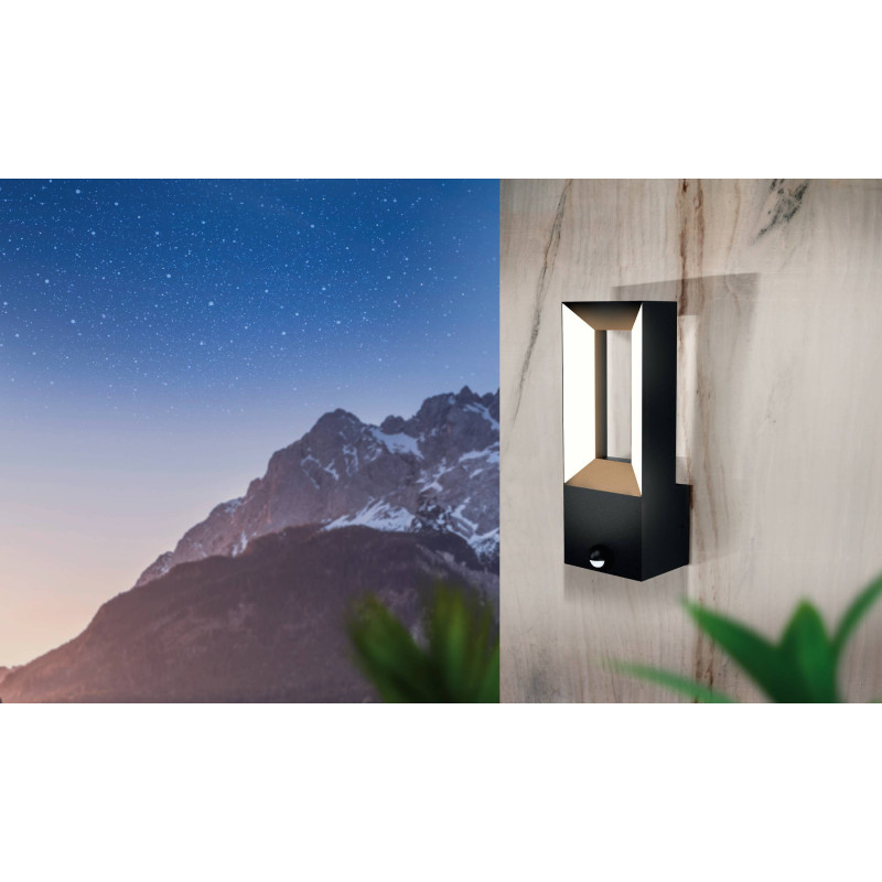 Applique extérieure LED Riforano avec détecteur de mouvements 29 x 11 x 8,5 cm 2 x 5 W EGLO