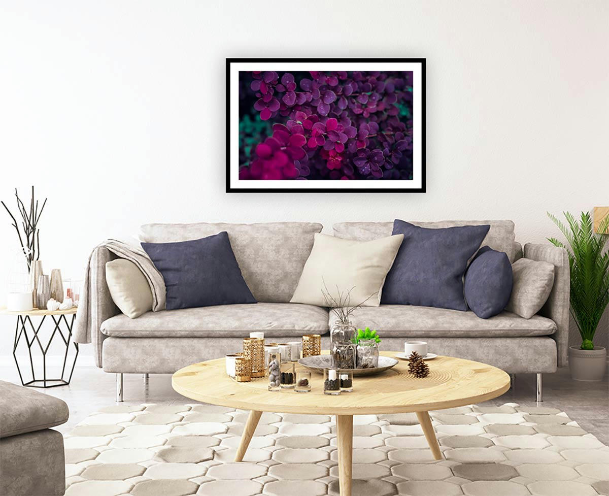 - Affiche fleurs de lilas au printemps sans cadre 60x40cm