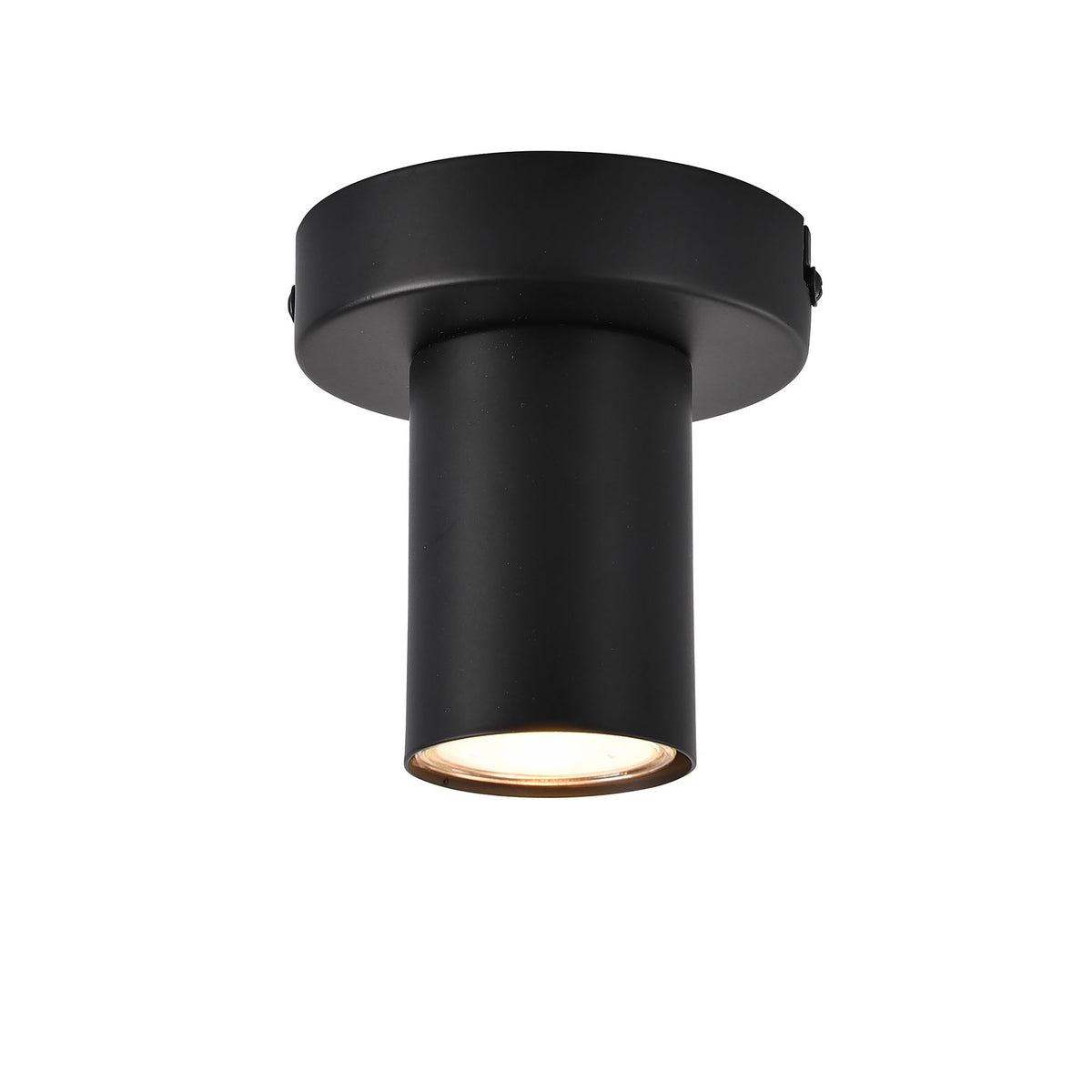 Ylumen plafondlamp Tag - 1 lichts - 10 x 10.5  cm - zwart