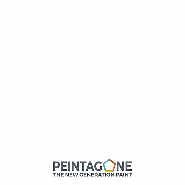 Laque de finition extra résistante pour mur int. &bois - Lak PU Pro Satin, 0,5 l, Only White (PE169)