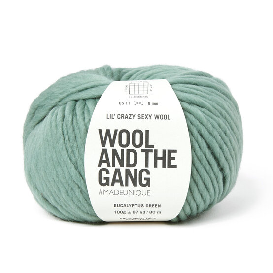 Wool and the Gang Eucalyptus Green Lil’ Crazy Sexy Wool 100g