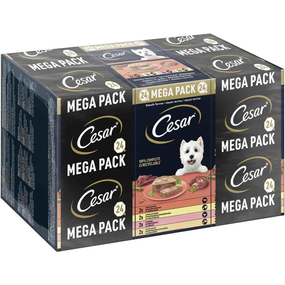 Cesar Trays Multipacks