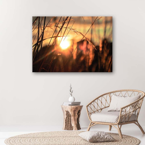 Feeby Obraz na płótnie Kłosy w słońcu 60x40