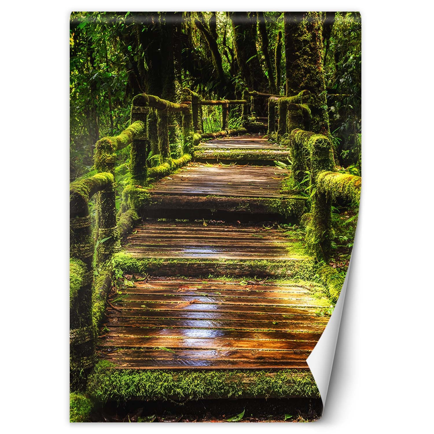 Feeby Fototapeta, Mostek w zielonym lesie 100x140