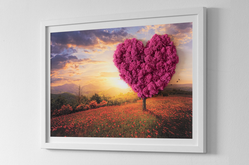 Obraz z mchem - Drzewo serce 60x40 cm Biała Rama