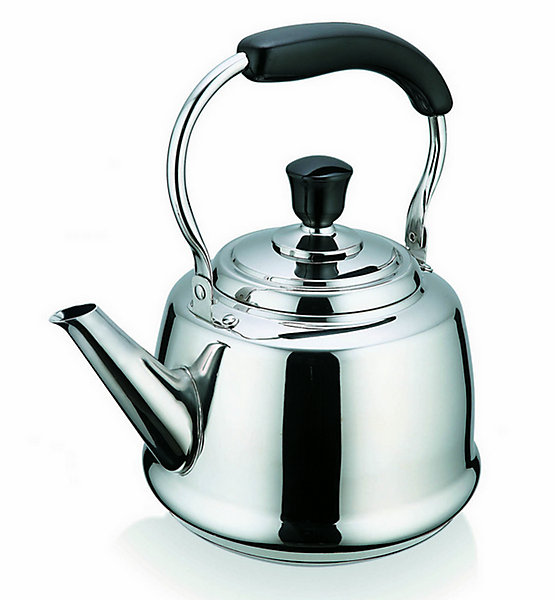 Bouilloire 4l inox Beka 12028454 claudette