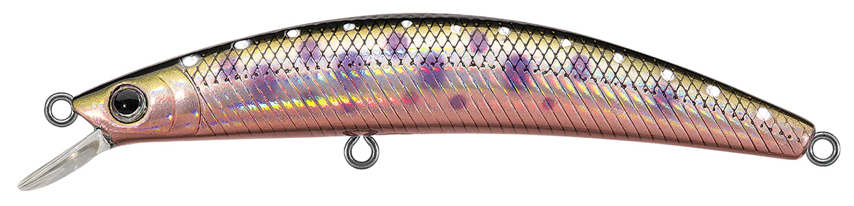 DR.MINNOW JERKBAITS