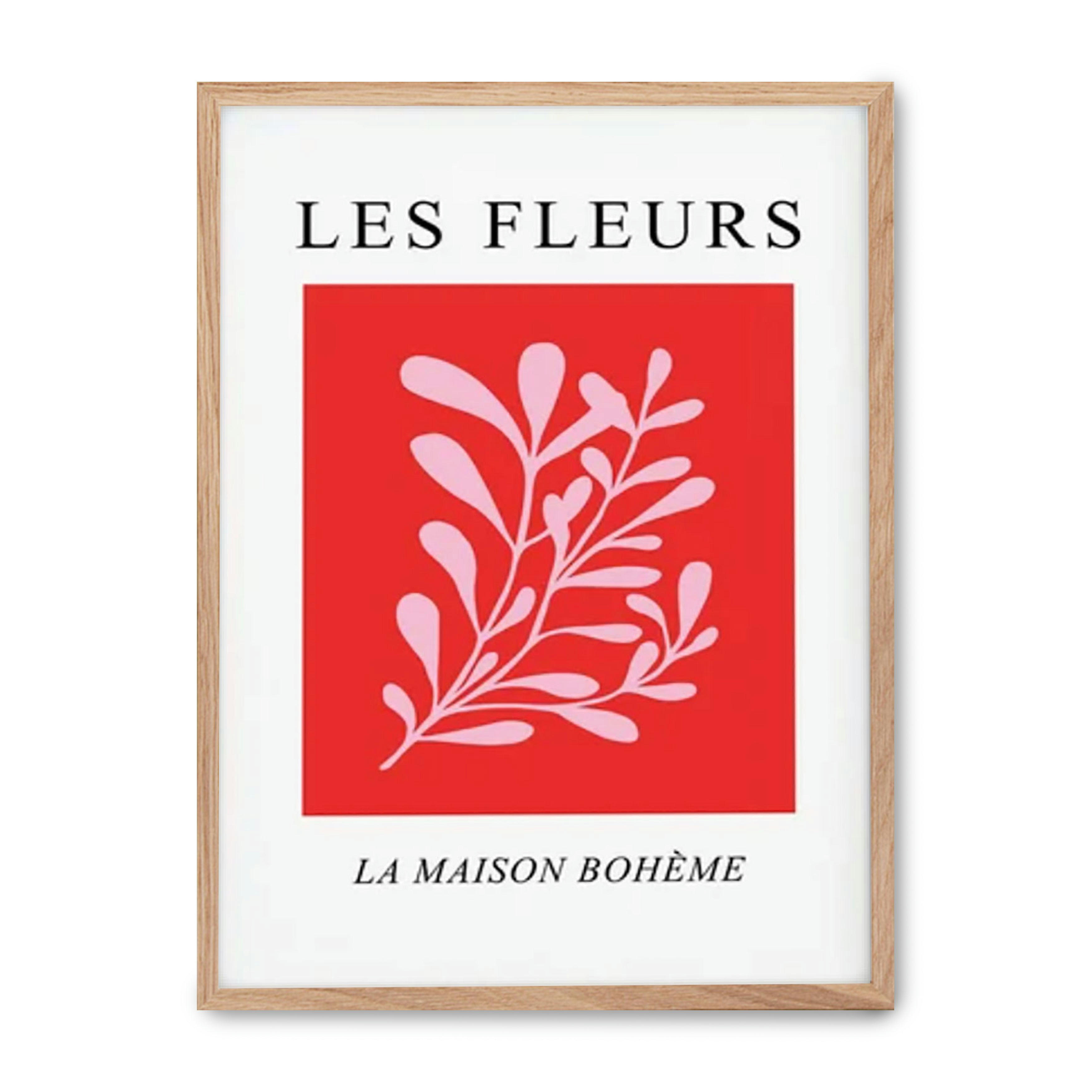 MATISSE - - 30x40