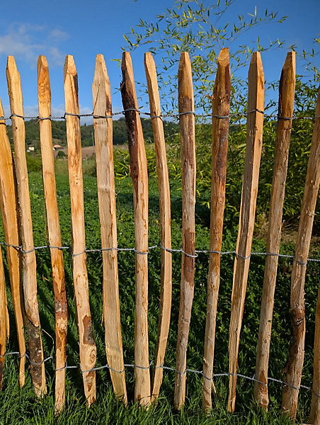 Ganivelle fendue châtaignier H1,00m espacement des piquets 7/8 cm rouleau de 10 ml