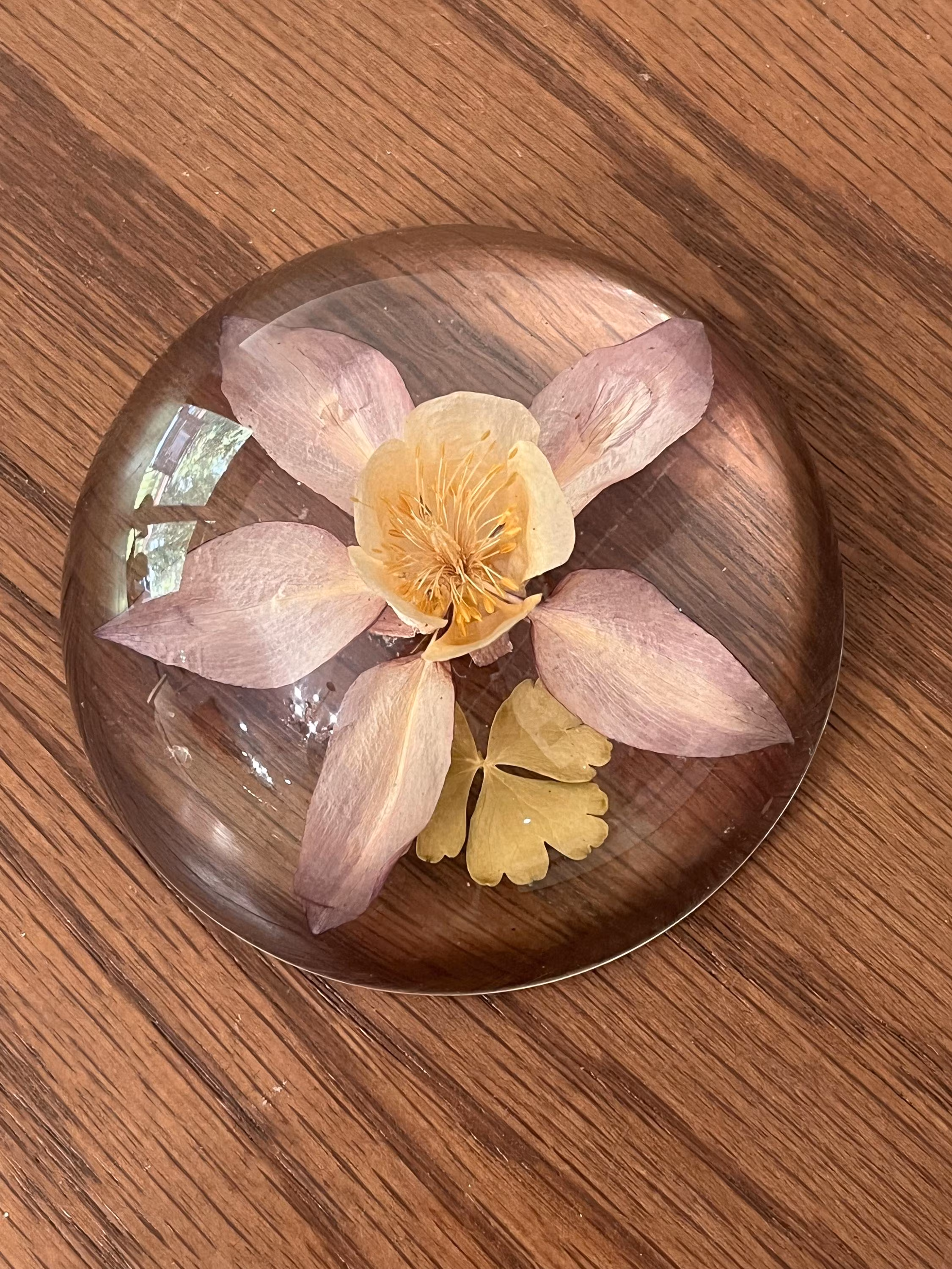 Vintage Mid-Century Lucite Columbine Flower Paperweight Dome - Preserved Real Botanical 1970s Decor