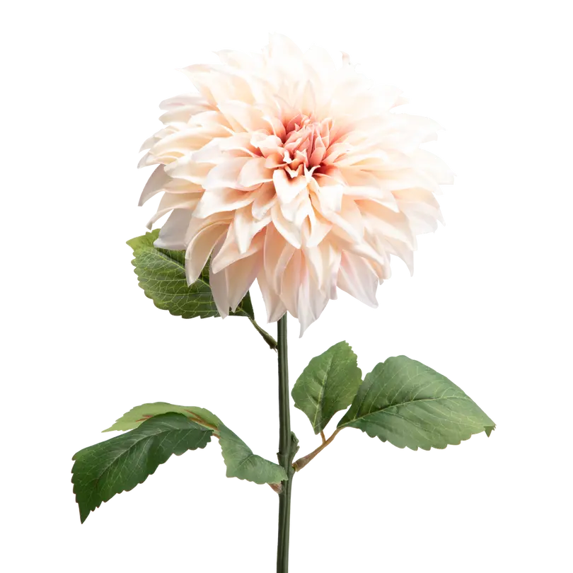 Dekozweig FLORA