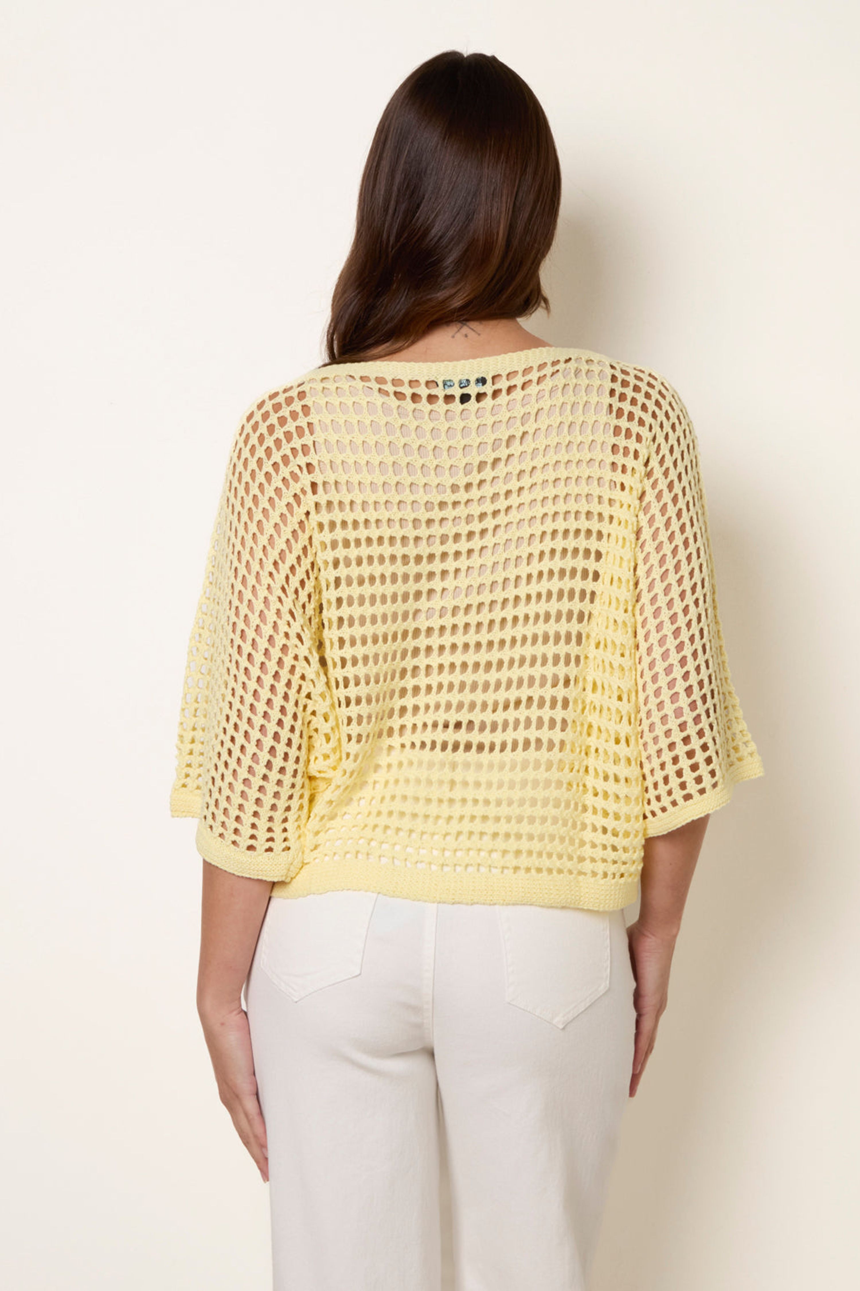 Blue Vanilla Lemon Round Neck Net Top