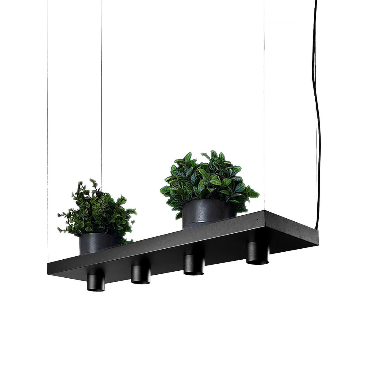 Nowodvorski hanglamp Plant - 4 lichts - 80 x 150  cm - zwart