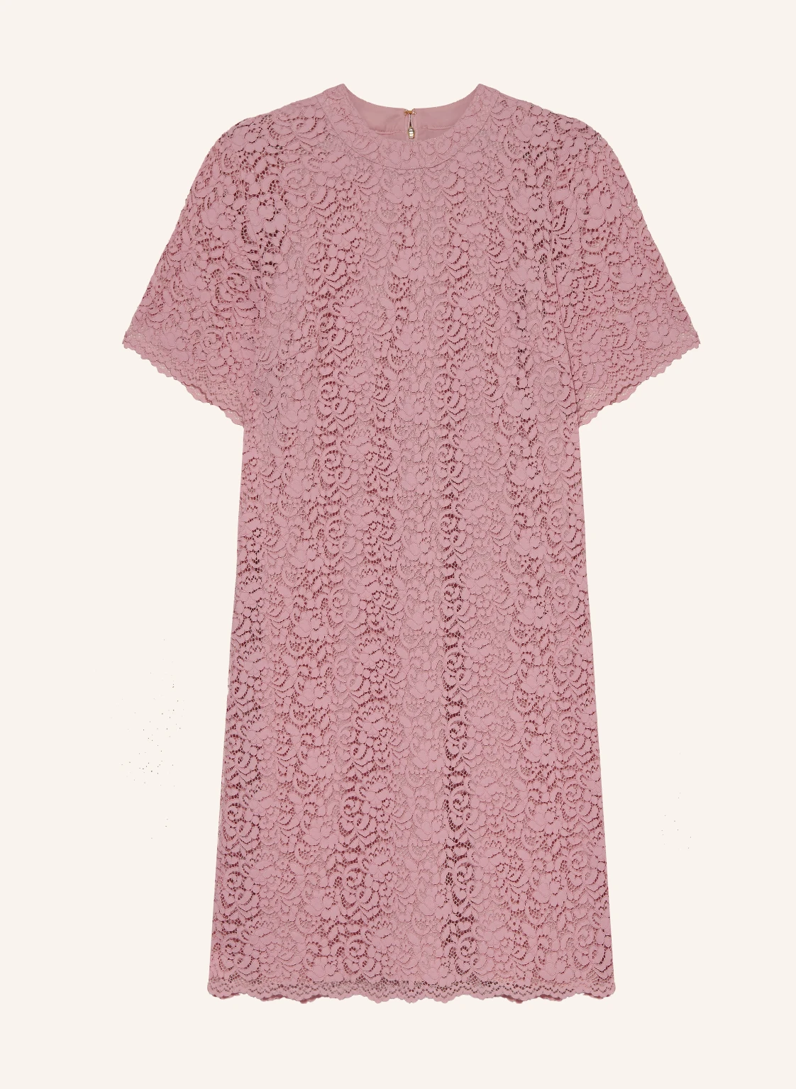 JOOP! Spitzenkleid DARLENE