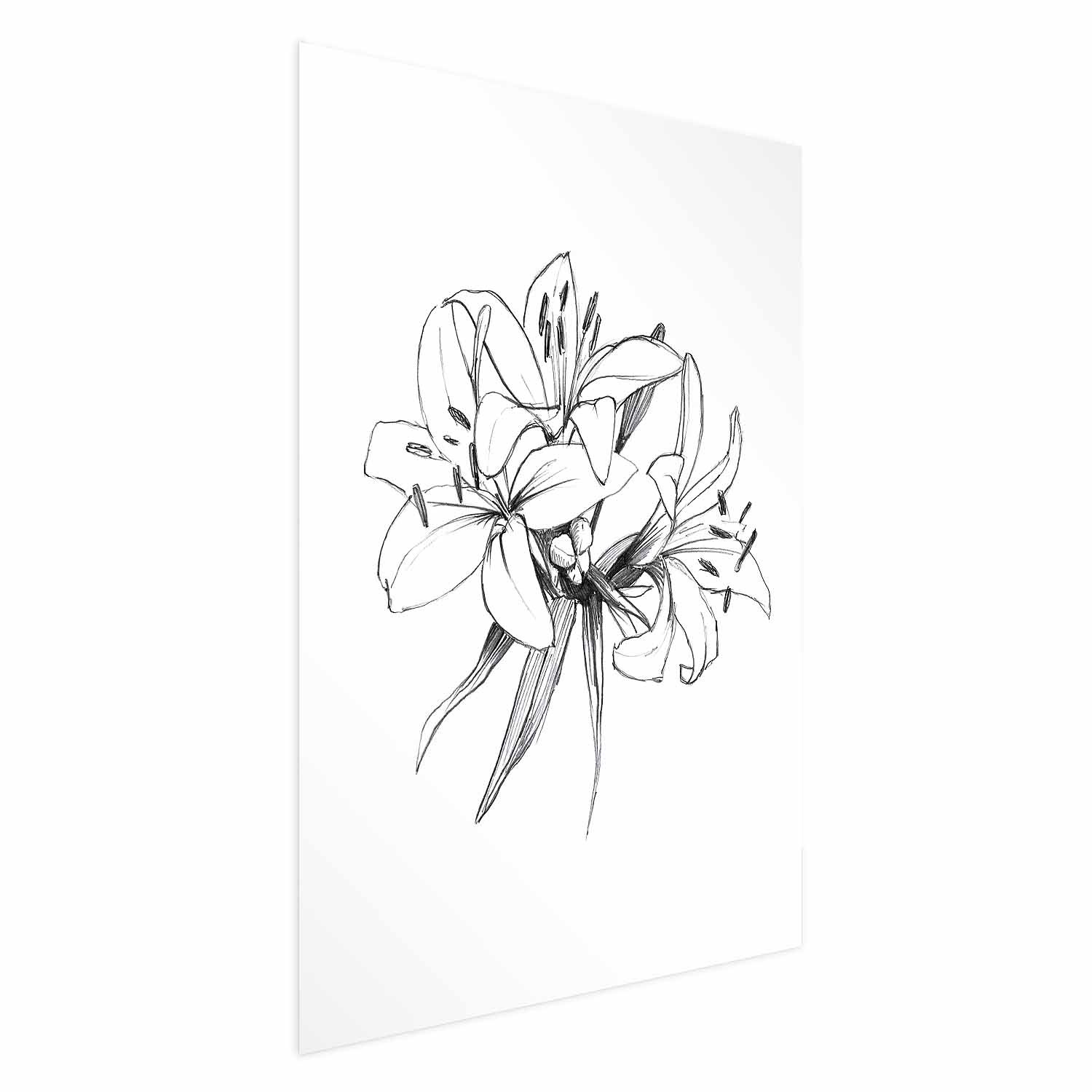 Plakat Rysowane kwiaty 21x30 cm