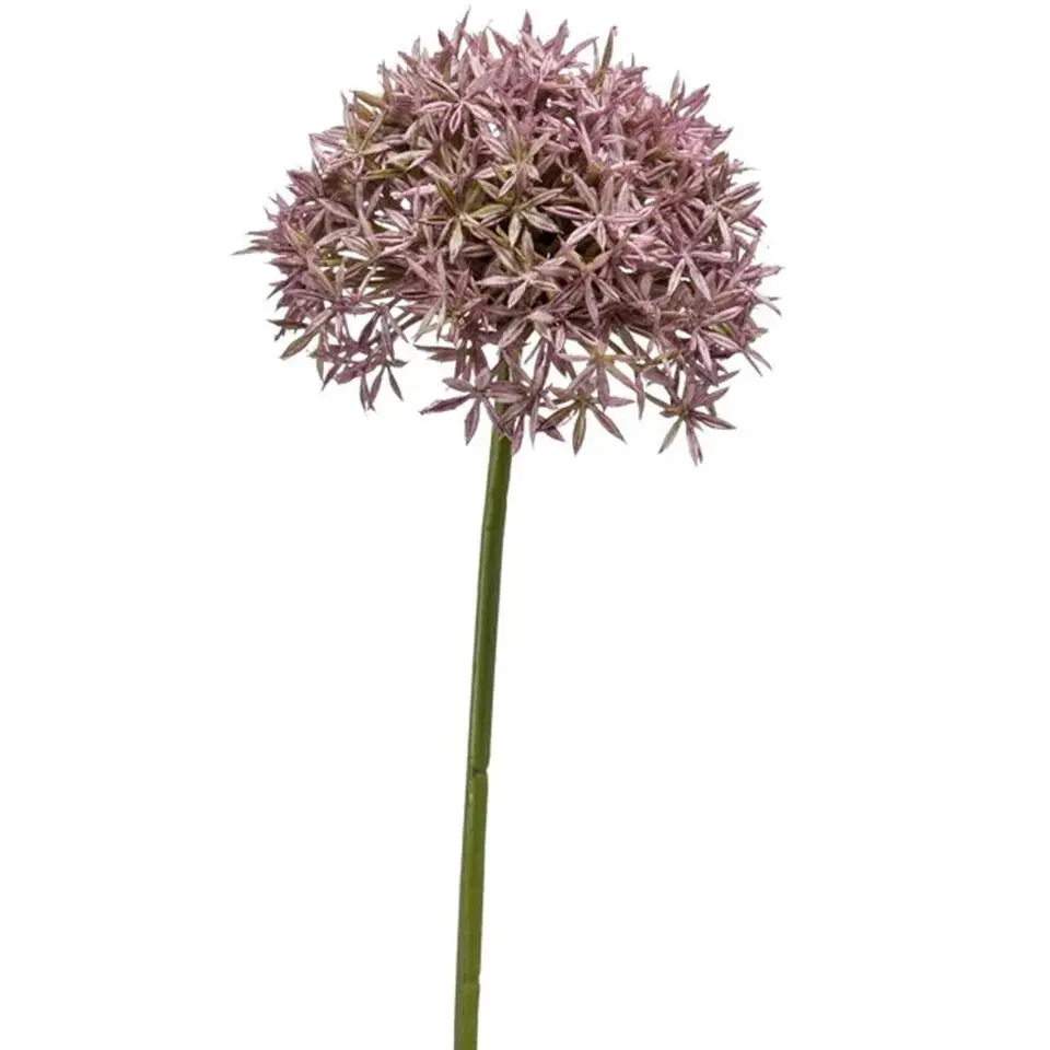 Emerald Emerald Allium/Sierui kunstbloem - lila - 62 cm