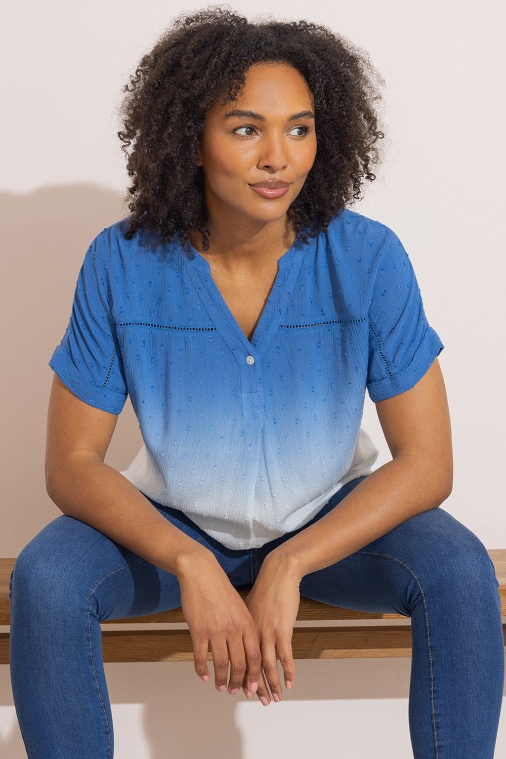 Klass. Embroidered Short Sleeve Ombre Top