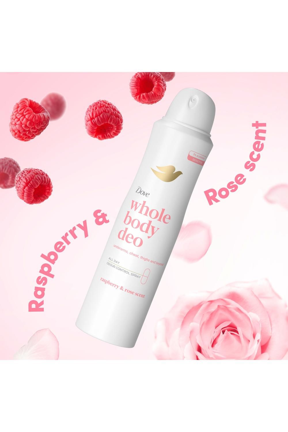Dove Whole Body Odour Protection Deodorant Spray Raspberry & Rose 150ml,6pk