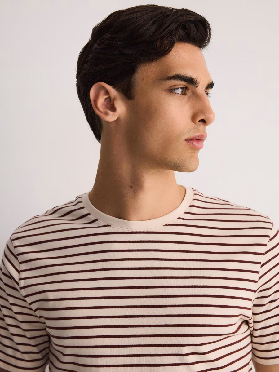 Regular Fit Stripe T-Shirt