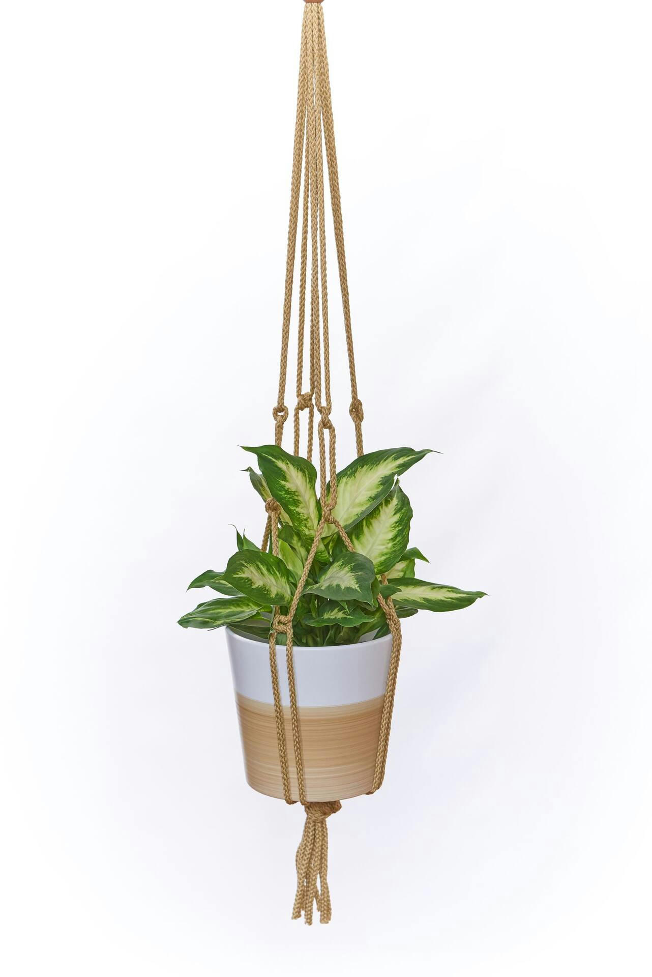 Macrame Plant Hanger, 36-in