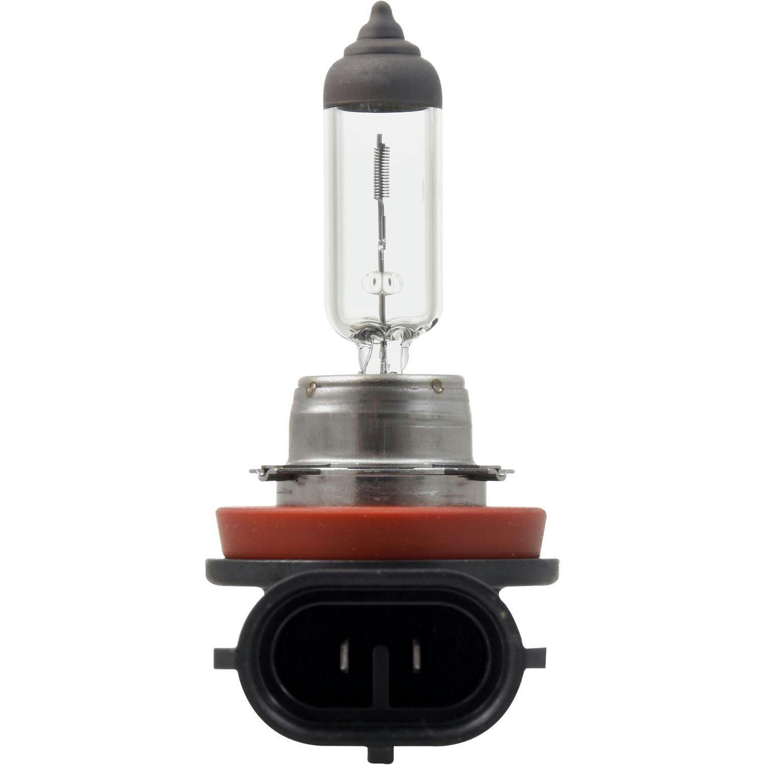 H11 MotoMaster Long Lasting Halogen Bulb, 2-pk