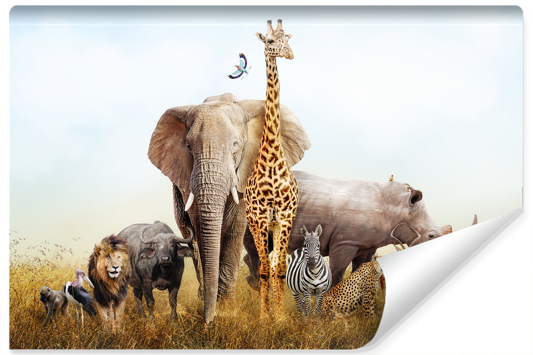 Fototapeta Zwierzęta Zoo SAFARI Afryka 3D 90x60cm