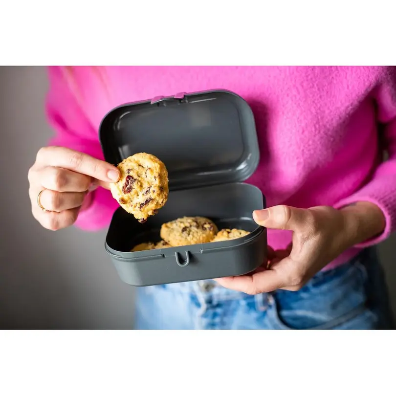 Lunch-Box Pascal S