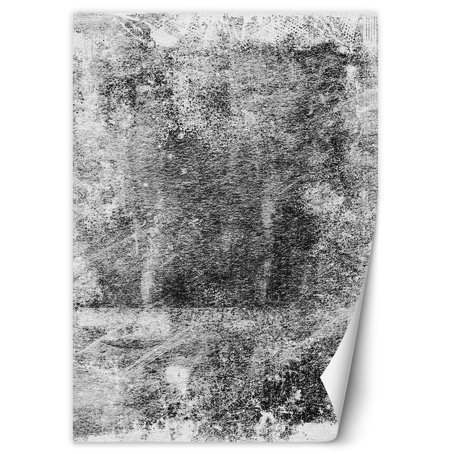 Feeby Fototapeta, Szara tekstura beton 100x140
