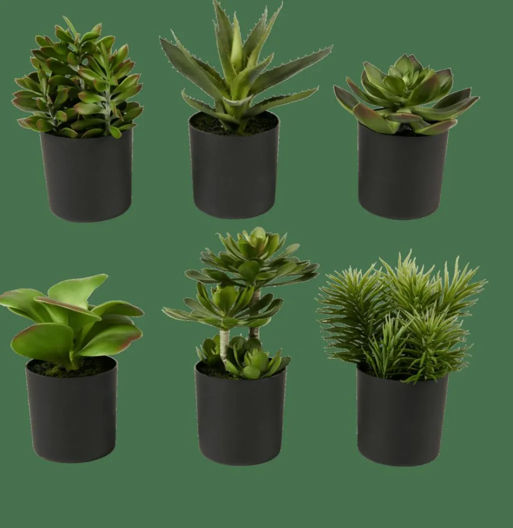 Plantes Artificielles^CASA MOHAVE Diverses Couleurs