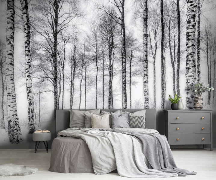 Fototapeta 3D Las Brzozowy Drzewa Natura Na Ścianę Sypialnia Salon 250X175