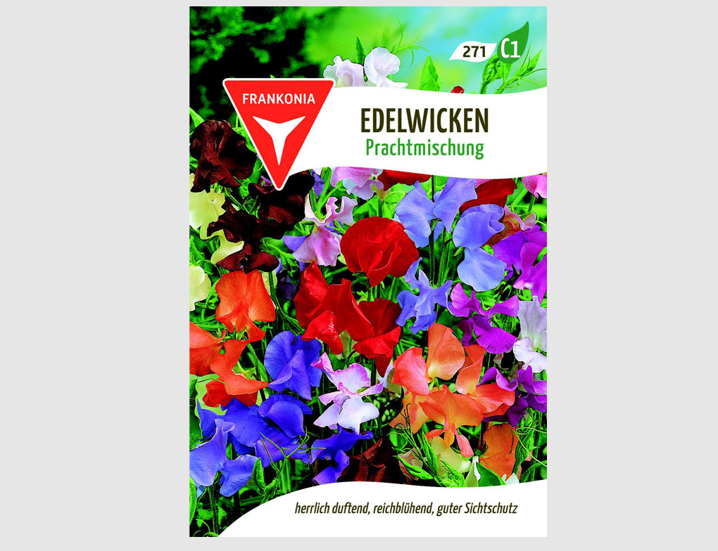 Edelwicken Prachtmischung