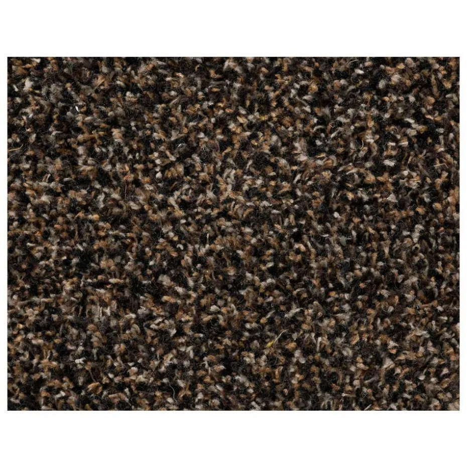 Kwantum Lopers | Loper Kingston  Bruin