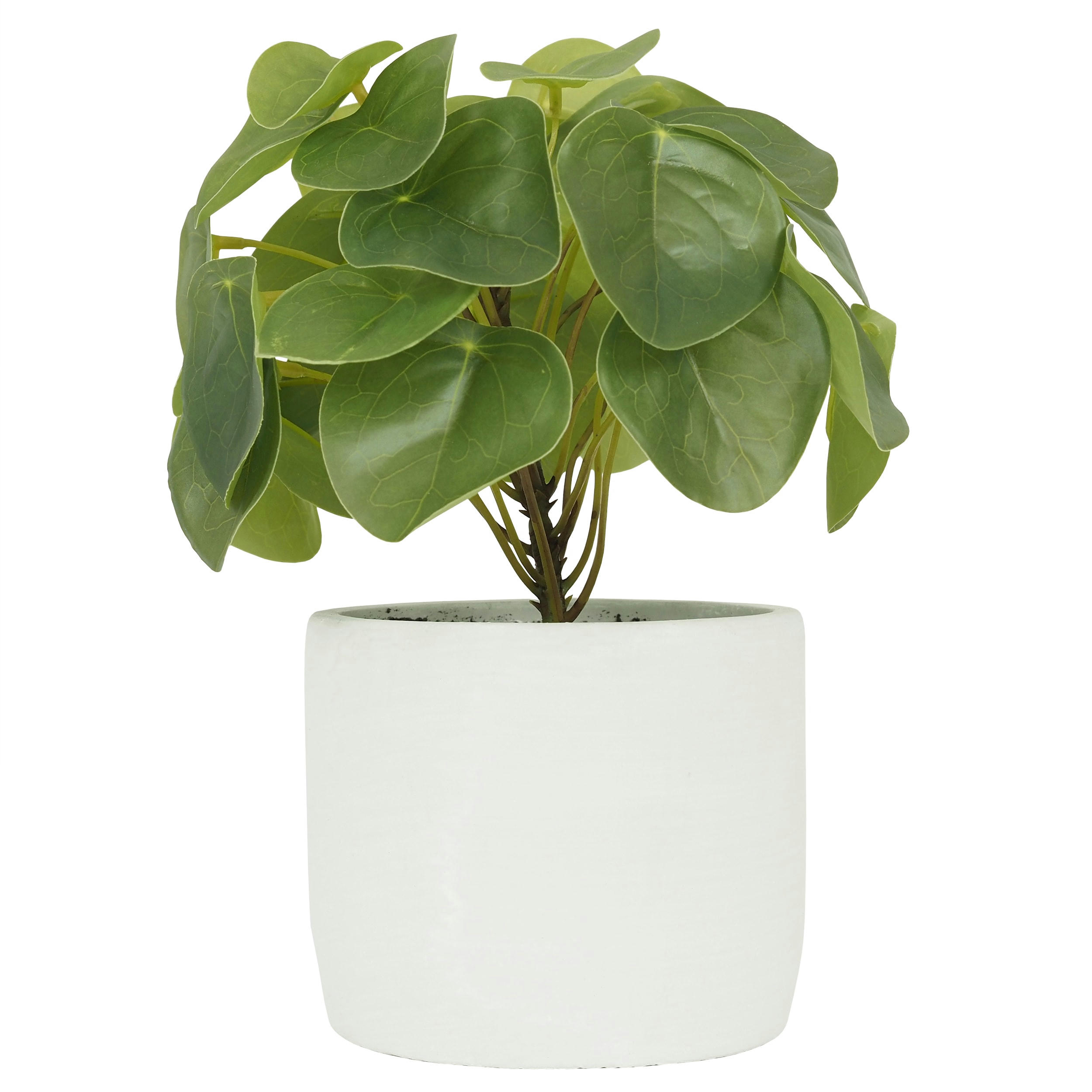 - Pilea artificiel pot effet ciment 23cm