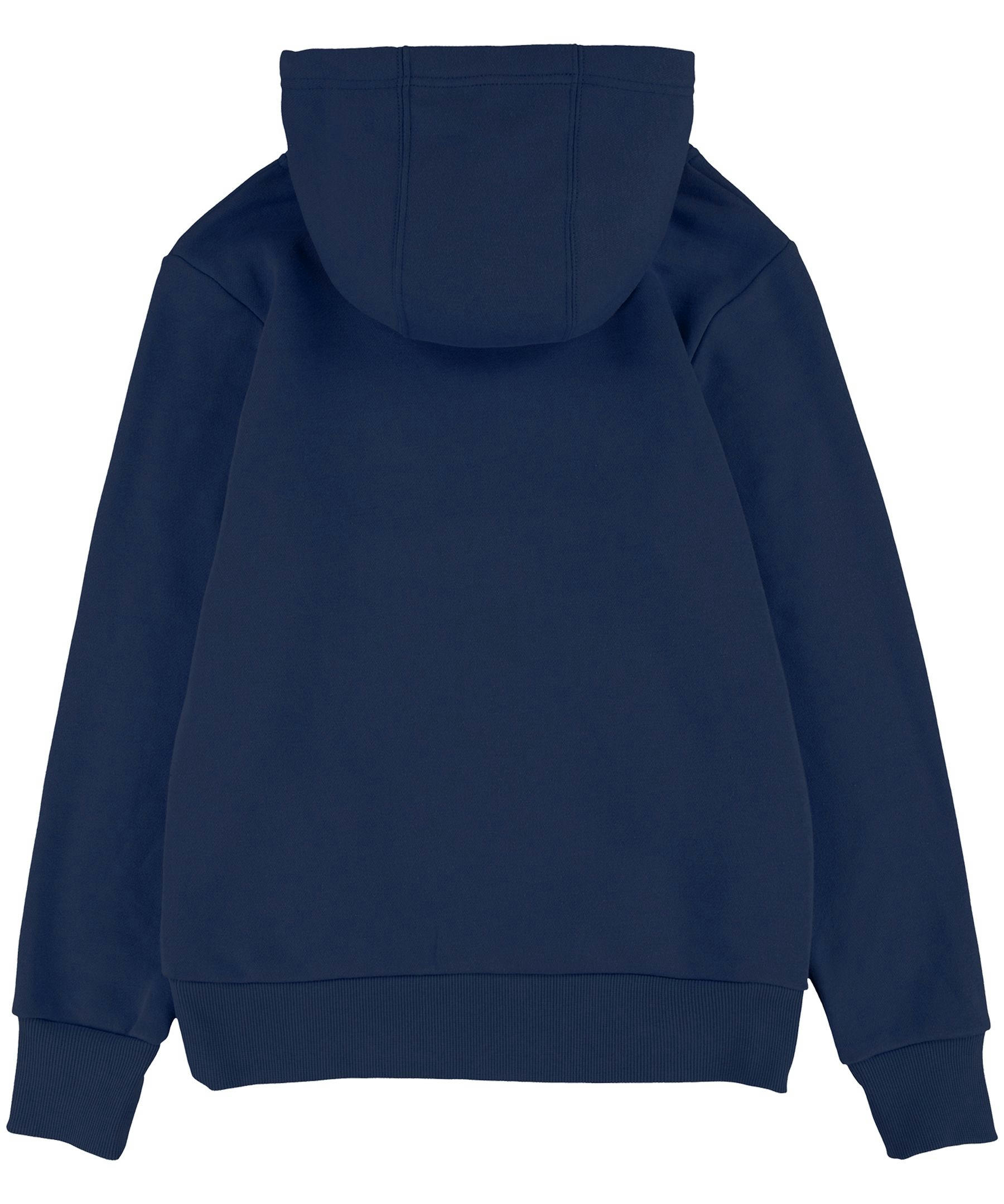 Levi's Kids' Unisex Batwing Graphic Pullover Hoodie