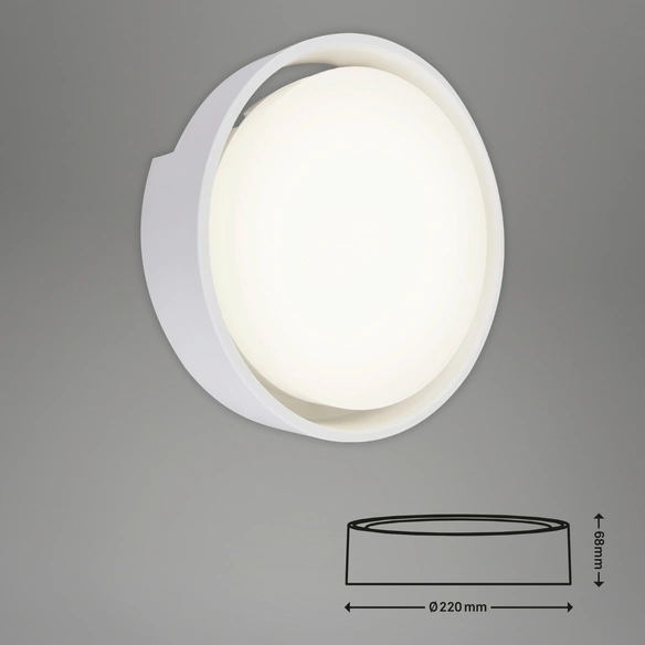 LED-Außenwandleuchte, Ø: 22 cm, Höhe: 6,8 cm, 18 W