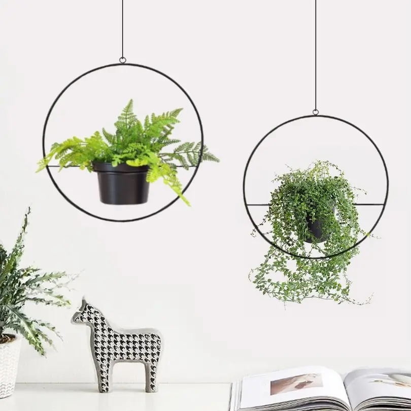 Blumenampel 2er-Set Wallxpert