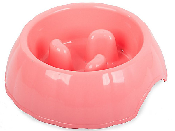 Bol d aliments pour chiens et chats 400ml